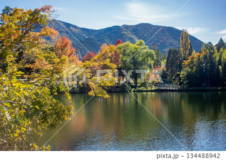 湯布院金鱗湖の紅葉 湯布院金鱗湖の紅葉 134488942
