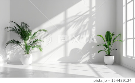 《AI画像》自然光の入る白い部屋 134489124
