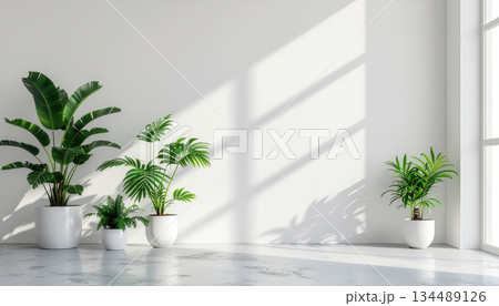 《AI画像》自然光の入る白い部屋 134489126