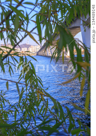 リゾート気分が味わえる気持ちのいい漢江沿いの公園 134489148