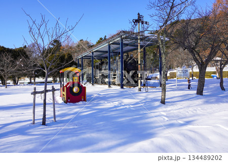 夕張鉄道21号機（栗山公園） 134489202