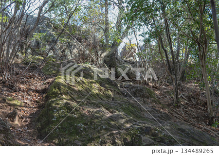 埼玉県：御嶽山／山頂付近の岩場／児玉郡神川町 134489265