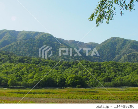 青空の下に広がる新緑の山と田園風景 青空の下に広がる新緑の山と田園風景 134489296