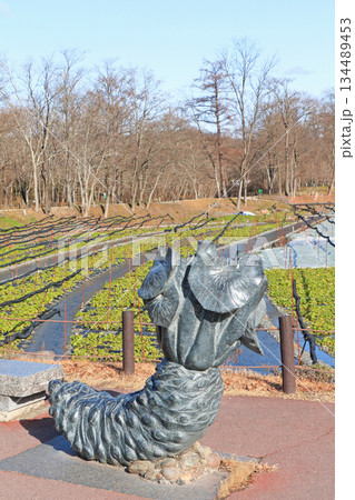 安曇野 冬の大王わさび農場 安曇野 冬の大王わさび農場 134489453