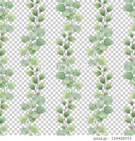 Watercolor eucalyptus branches with leaves seamless pattern on isolated background. Hand painted wavy aromatic plant growing upward ornate for textile design, interior decor, wedding collection. 134489553