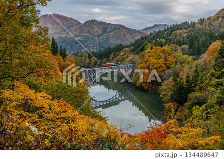 紅葉の橋梁を走る只見線 134489647