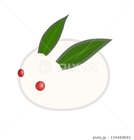 雪うさぎのイラスト 134489683