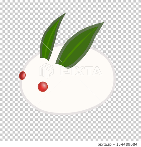 雪うさぎのイラスト 134489684