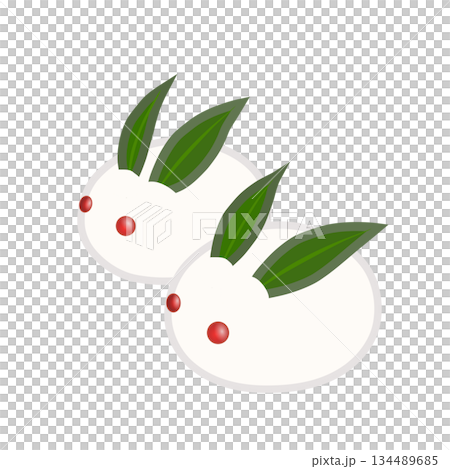 兩隻雪兔並排的插圖 134489685