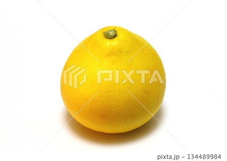 パール柑（土佐文旦） 134489984