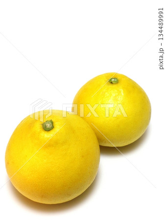 パール柑（土佐文旦・縦構図） 134489991