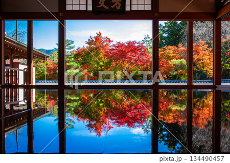 秋の群馬県桐生市・宝徳寺で見た、床に映り込む紅葉と青空 134490457
