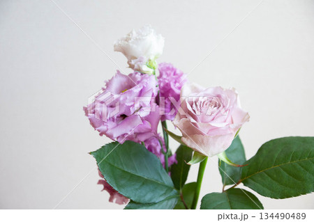 ばらとトルコ桔梗 134490489