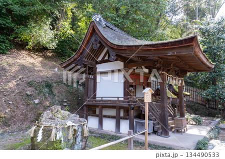 【世界遺産　古都京都の文化財】宇治上神社の摂社・春日社の春の風景　京都府宇治市 134490533