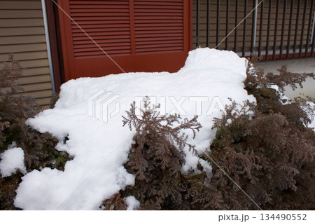雪のある風景 134490552