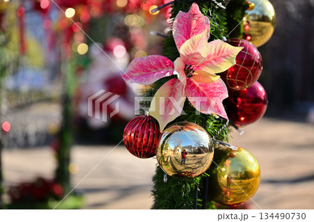 クリスマスツリーのある風景 134490730
