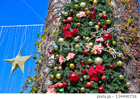 青空に映えるクリスマスツリー 134490738