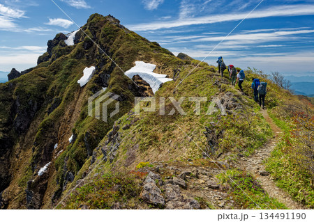 初夏の一ノ倉岳から谷川岳への縦走路を行く登山者 134491190