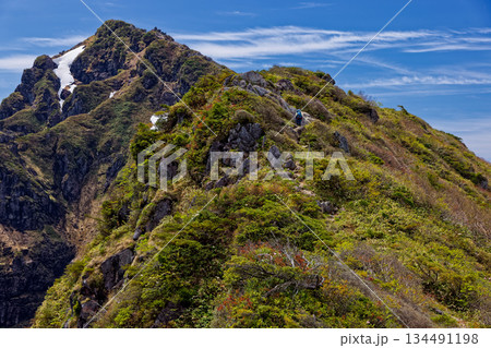 初夏の谷川連峰縦走路を行く登山者 134491198