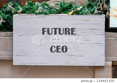Close up captures a light grey wooden board proclaiming Future CEO. The board is adorned with green foliage and pinecone decorations, perhaps indicating a festive setting in December Close up captures a light grey wooden board proclaiming Future CEO. The board is adorned with green foliage and pinecone decorations, perhaps indicating a festive setting in December 134491359