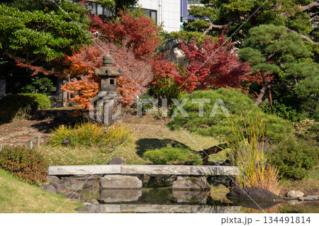 旧芝離宮恩賜庭園の紅葉と石灯籠｜秋色に染まる日本庭園の風景 134491814
