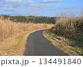 すすきと曲がり道 134491840
