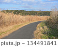 すすきとまがり道 134491841