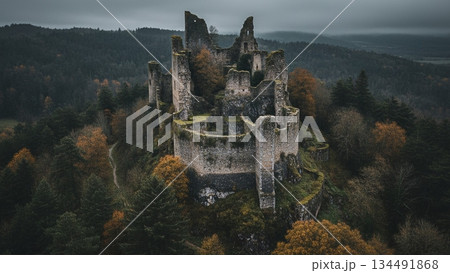 AI Generated 4K Image of Ancient Castle Ruins in Forest AI Generated 4K Image of Ancient Castle Ruins in Forest 134491868