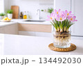 明るいキッチンカウンターに水栽培のクロッカス 134492030