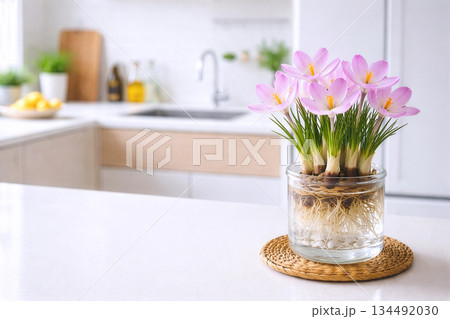 明るいキッチンカウンターに水栽培のクロッカス 134492030