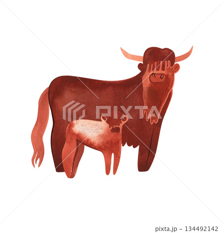 The Highland Cow is a Scottish breed of rustic cattle. Cow and Calf. Character for packaging, children's book and encyclopedia. Isolated watercolor illustration in retro style. Clipart. 134492142