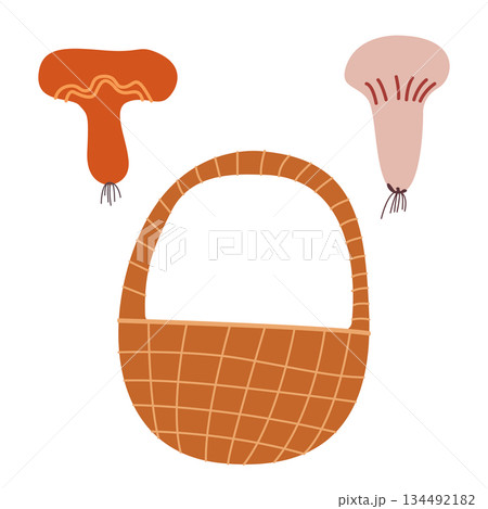 Mushroom picker set: wicker basket, mushrooms. Vector elements, autumn illustration. 134492182