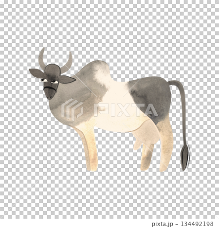 Malvi or Malavi, also Manthani or Mahadeopuri, is breed of zebu cattle, Indian Cow. Character for packaging, children's book and encyclopedia. Isolated watercolor illustration in retro style. Clipart. 134492198