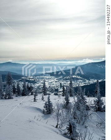 Mountain valley view with snowy forest and distant hills 134492227