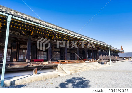 晩秋の蓮華王院 (三十三間堂) 本堂 京都府京都市 晩秋の蓮華王院 (三十三間堂) 本堂 京都府京都市 134492338