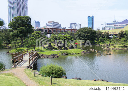 旧芝離宮恩賜庭園の池と松林、和傘を差す人が佇む風景 134492342