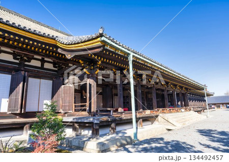 晩秋の蓮華王院 (三十三間堂)　本堂　京都府京都市 134492457