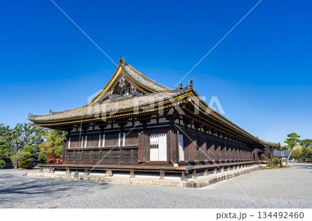 晩秋の蓮華王院 (三十三間堂)　本堂　京都府京都市 134492460