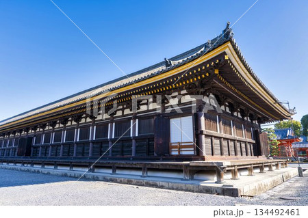 晩秋の蓮華王院 (三十三間堂)　本堂　京都府京都市 134492461