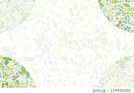 ハーブ柄のパターン　プレゼンテーション用の背景 134493016