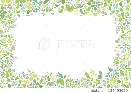 ハーブ柄のパターン　天地左右囲みフレーム 134493020