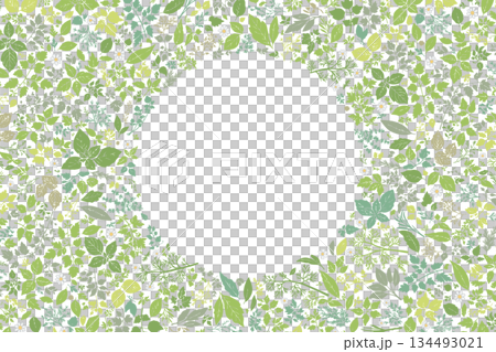 Herb pattern frame with circular margin Herb pattern frame with circular margin 134493021