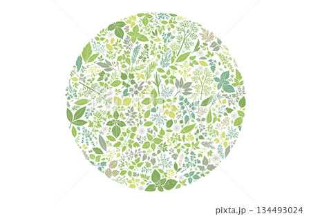 ハーブ柄のパターン　円形に敷き詰めた構成 134493024