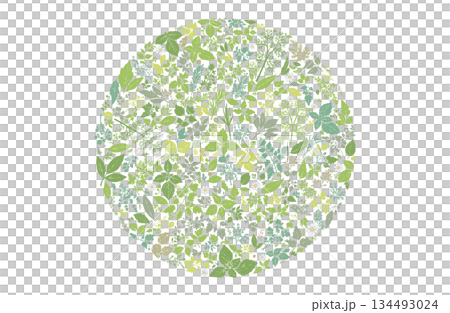 ハーブ柄のパターン　円形に敷き詰めた構成 134493024