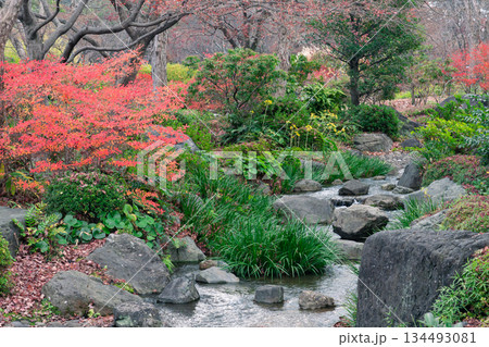 紅葉のある風景 134493081