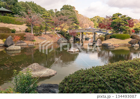 紅葉に彩られた大仙公園の日本庭園 紅葉に彩られた大仙公園の日本庭園 134493087