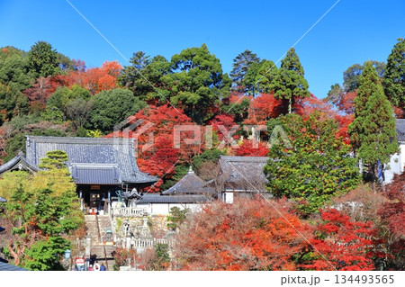 【京都府】快晴の楊谷寺(柳谷観音)と紅葉 【京都府】快晴の楊谷寺(柳谷観音)と紅葉 134493565