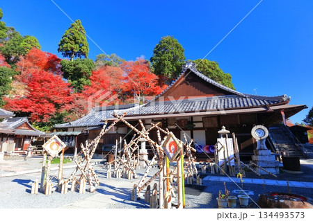 【京都府】快晴の楊谷寺(柳谷観音)の阿弥陀堂と紅葉 【京都府】快晴の楊谷寺(柳谷観音)の阿弥陀堂と紅葉 134493573