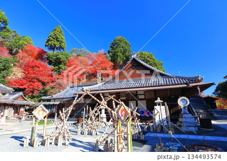 【京都府】快晴の楊谷寺（柳谷観音）の阿弥陀堂と紅葉 134493574