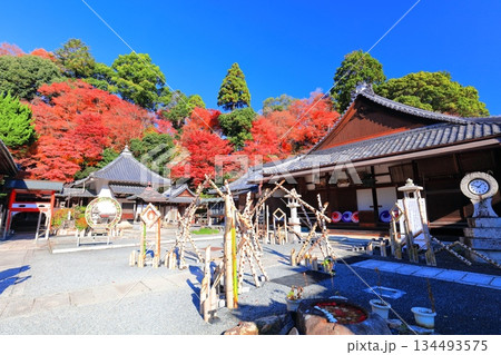 【京都府】快晴の楊谷寺(柳谷観音)の阿弥陀堂と紅葉 【京都府】快晴の楊谷寺(柳谷観音)の阿弥陀堂と紅葉 134493575